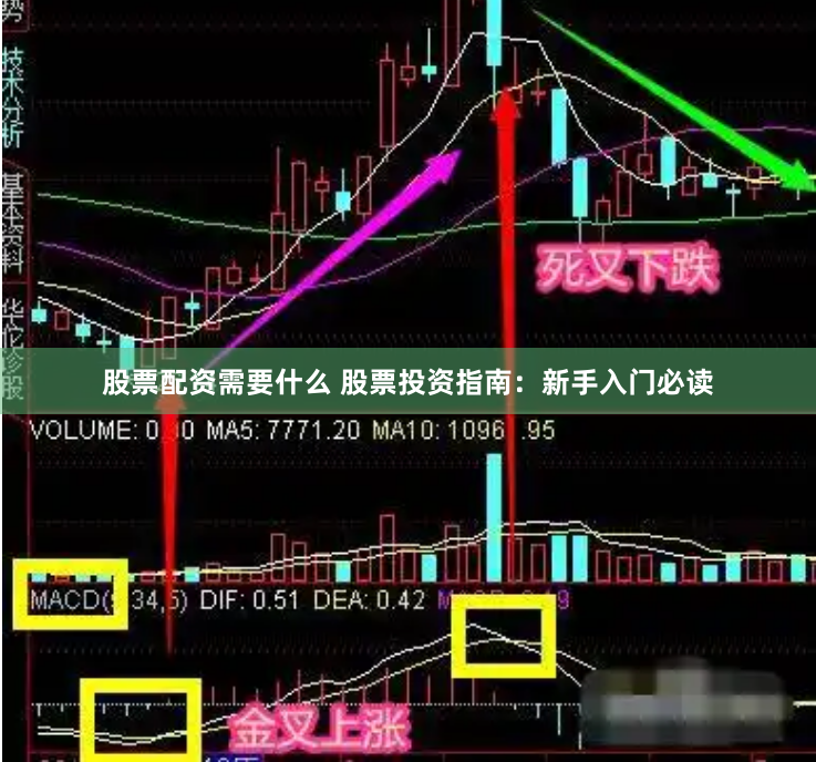 股票配资需要什么 股票投资指南：新手入门必读
